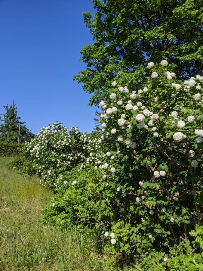 Appartamento Neuenkirchen Moritzhagen Esterno foto